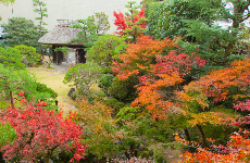 道後温泉ふなや