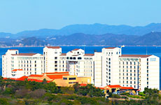 アオアヲナルトリゾート