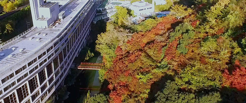 奥道後 壱湯の守