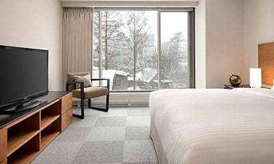 チャトリウムニセコ