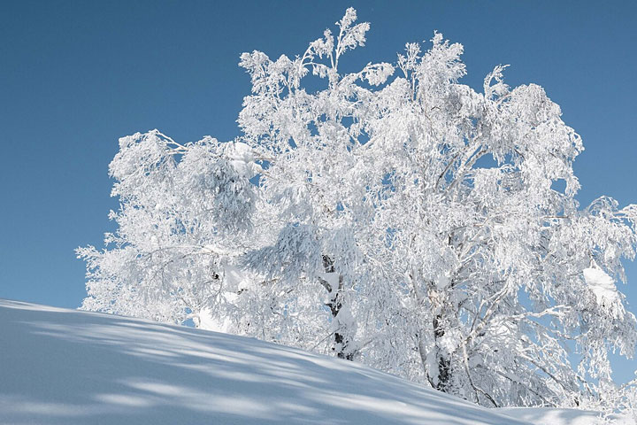 キロロスノーワールド