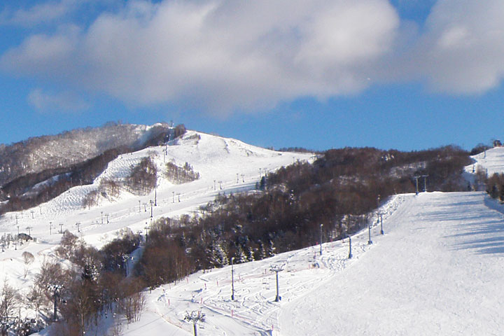 レンタカープラン