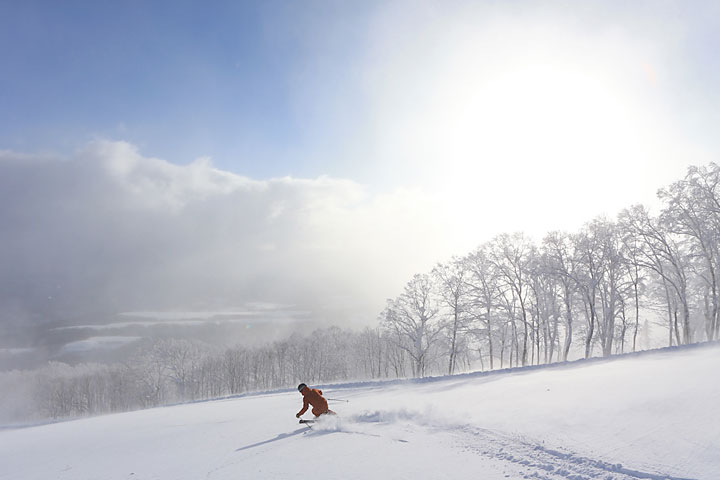 レンタカープラン
