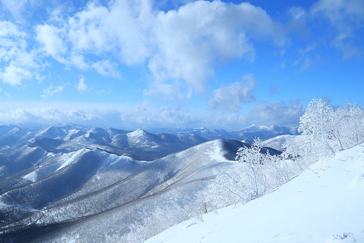 サホロリゾート