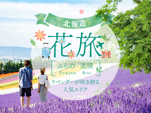 【稀少】2009年「北海道ラベンダー」・2005年「北海道オコジョ」根付セット bnr_furano_biei.jpg
