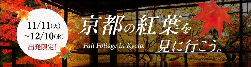 京都の紅葉を見に行こう