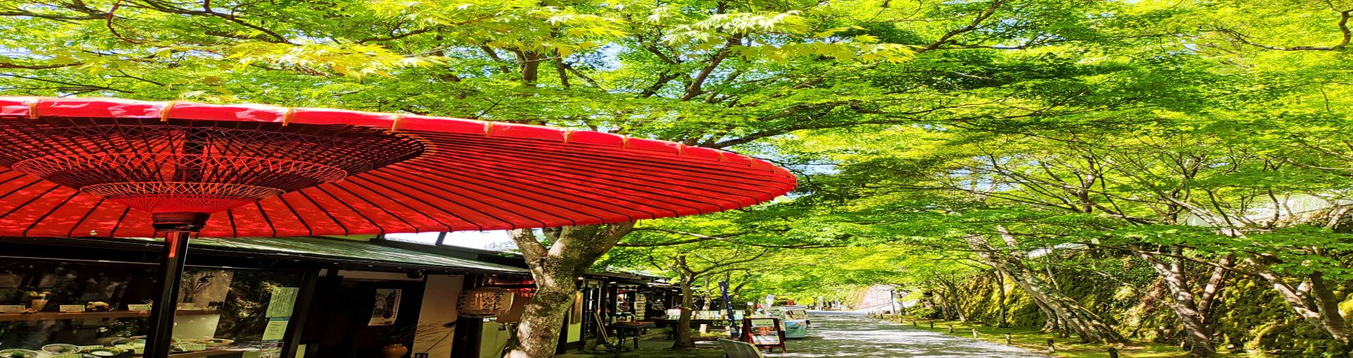 関西 のツアー・旅行を探すなら格安旅行のJJ tour【関東発】