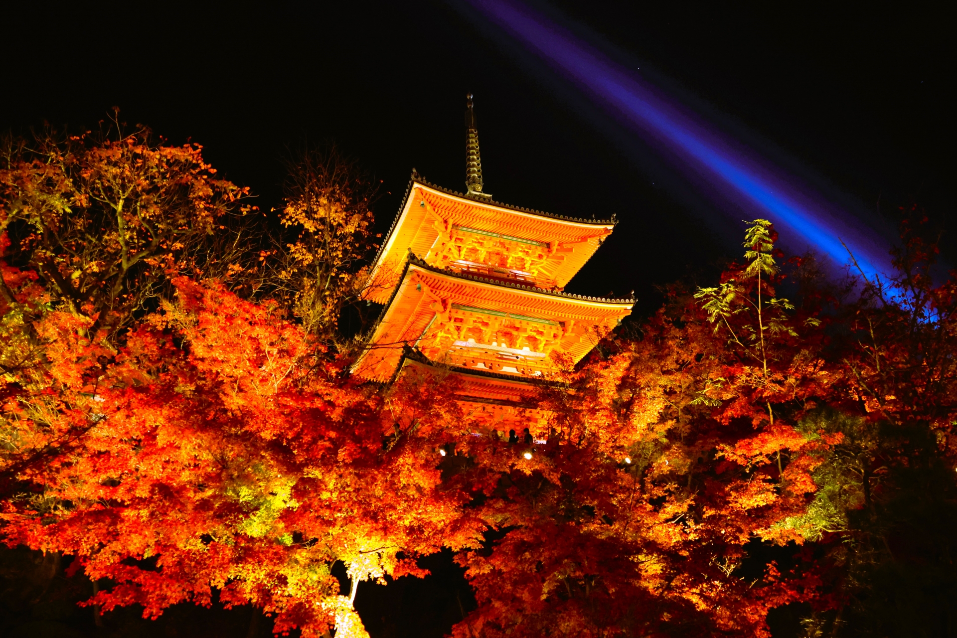 7a03a6116005914f74ac8cf65f0e77