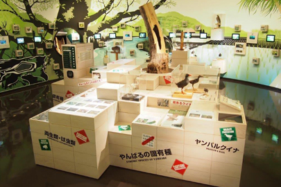 やんばる野生生物保護センター／ウフギ―自然館