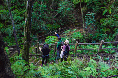 国頭村森林公園