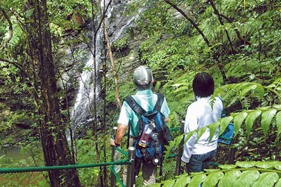 国頭村環境教育センター やんばる学びの森