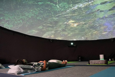 やんばるの森ビジターセンター