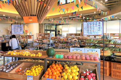 道の駅 おおぎみ