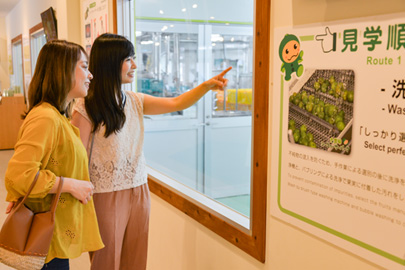 大宜味シークヮーサーパーク