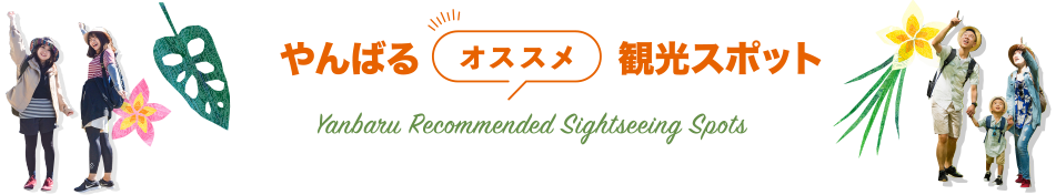 やんばるおすすめ観光スポット