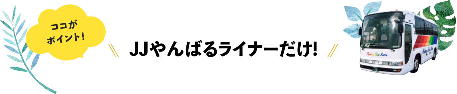ここがポイント！JJやんばるライナーだけ