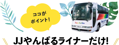 ここがポイント！JJやんばるライナーだけ