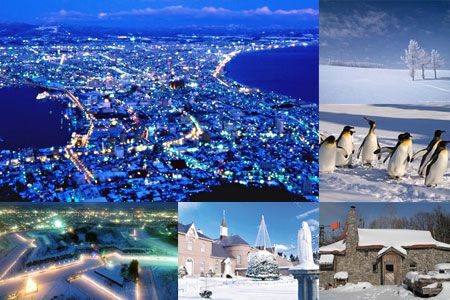 プレミアムな冬の函館夜景や美瑛の丘の白い絶景、冬こそ楽しい旭山動物園など人気観光地エリア。