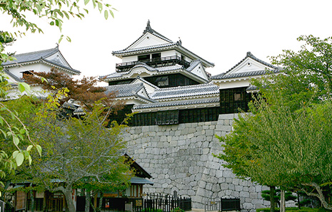 松山の中心勝山に立つ日本三大連立式平山城の松山城。国の重要文化財に指定されている建造物が多く、春には桜の名所となります。麓には閑静なたたずまいの二之丸史跡庭園もあります。