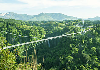 長さ390m、高さ173m、幅1.5m。歩道専用として『日本一の高さ』を誇る吊橋。震動の滝・雄滝」や「雌滝」を望み、足下に筑後川の源流域を流れる鳴子川渓谷の原生林が広がり、 四季折々に織りなす大自然の変化は訪れる人々を魅了してやみません。