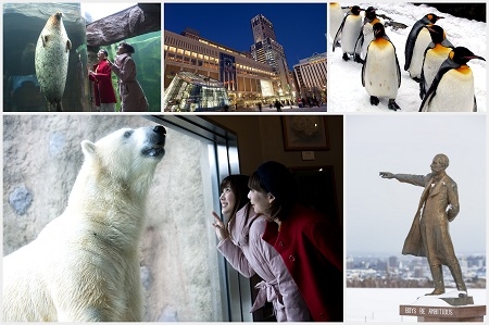 Jj Tour Jalで行く 富良野 美瑛 旭山動物園観光と札幌セレクト 朝食付 5日間 観光周遊バス 入園券付 選べる札幌市内ホテル マイルも貯まる 機内wi Fi無料