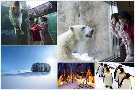 Jj Tour 滞在中レンタカー付 Jalで行く 旭山動物園 旭川満喫の旅 朝食付 3日間 2日目に旭山動物園入園券付 選べる旭川市内ホテル 往復 旭川空港基本 マイルも貯まる 機内wi Fi無料