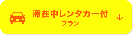 滞在中レンタカー付プラン