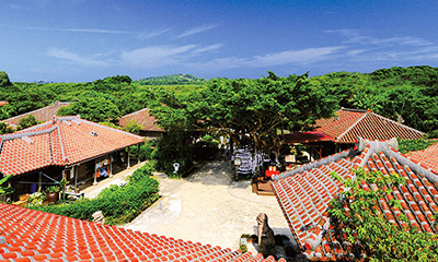 Nバスレジャーコース