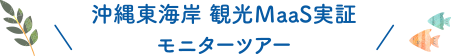 沖縄東海岸観光ＭaaS実証モニターツアー