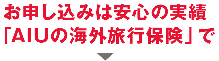 お申し込みは安心の実績「AIGの海外旅行保険」で