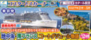 《東京発》2027年2月〜3月【コスタ・トスカーナで航く】〜春の訪れミモザが咲き誇るミモザ街道から始まる〜《C》地中海・南フランスコートダジュール物語12日間