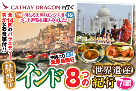 魅惑のインド8つの世界遺産紀行7日間