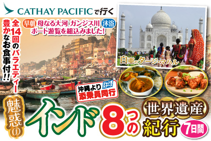 魅惑のインド8つの世界遺産紀行7日間