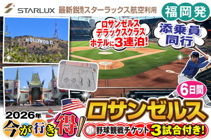今が行き得!ロサンゼルス6日間《野球観戦チケット3試合付き!》