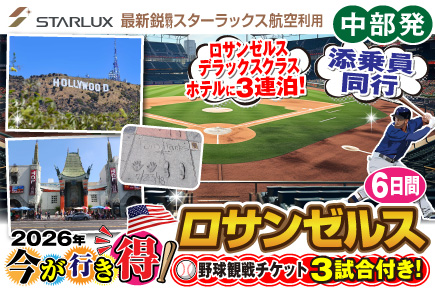 今が行き得!ロサンゼルス6日間《野球観戦チケット3試合付き!》