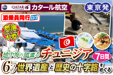 地中海の風薫るチュニジア6つの世界遺産と歴史の十字路をめぐる7日間