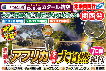感動のアフリカ3カ国大自然紀行7日間