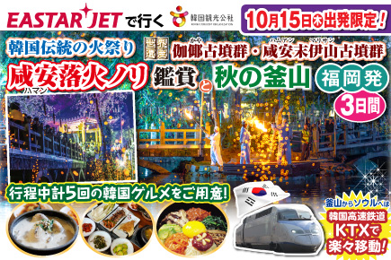 【10月15日出発限定】韓国伝統の火祭り「咸安落火ノリ」鑑賞と秋の釜山3日間