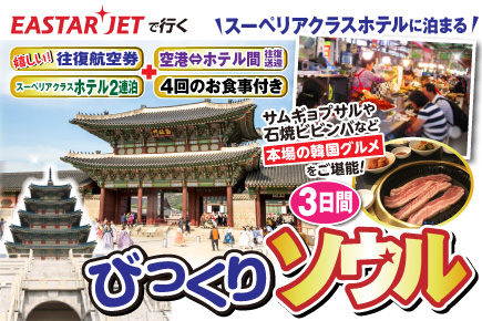 びっくりソウル3日間