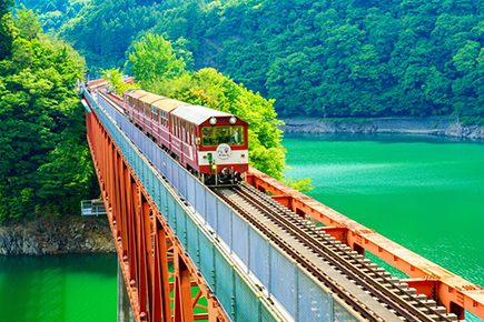 アプト式トロッコ列車
