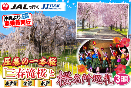 圧巻の一本桜・三春の滝桜と桜名所巡礼3日間