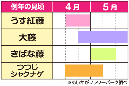 花見頃カレンダー