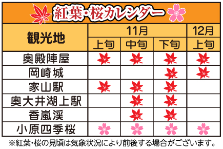 香嵐渓と小原四季桜、大井川鐡道で巡る紅葉絶景の旅3日間_紅葉カレンダー（例年の目安）