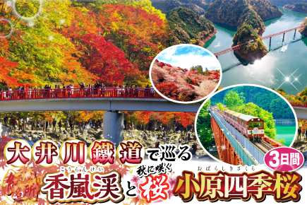 大井川鐵道で巡る!香嵐渓と小原四季桜3日間