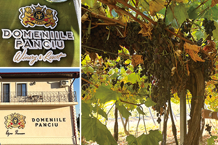 DOMENIILE PANCIUワイナリー&リゾートホテル