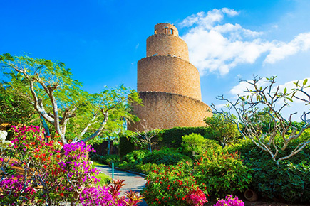 熱帯ドリームセンター