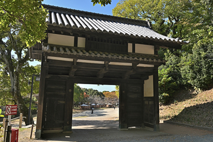 舞鶴公園／福岡城
