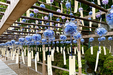 正寿院（風鈴寺）