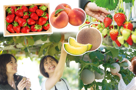 蒲郡オレンジパーク