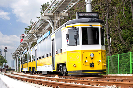 海岸列車乗車体験